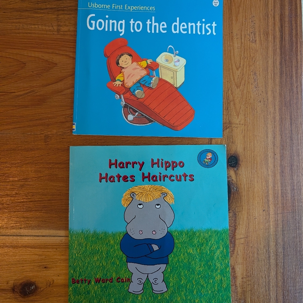 Usborne Children's Book Set - Dentist And Haircut